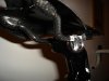 DSC01834.jpg