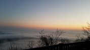 20210423_060406.jpg