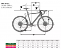 Bici+gravel+VAN+RYSEL+EDR+OFFROAD+GRX+1X webp (immagine WEBP, 1000 × 1000 pixel).png