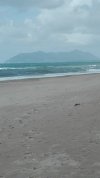 IMG_20210502_105701.jpg