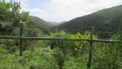 IMG_6354.JPG
