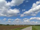 IMG_20210503_164433.jpg