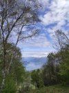 IMG_20210508_121154.jpg