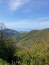 20210509_095159.jpg 20210509_095159.jpg
