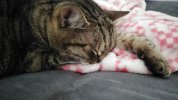 IMG-20210504-WA0002.jpeg