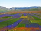 Fioritura-di-Castelluccio-1030x773.jpg