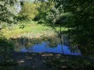 IMG_20210520_100723.jpg