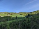 PXL_20210520_170145578.jpg