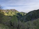 PXL_20210520_172855366.jpg