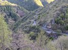 PXL_20210520_172900926.MP.jpg