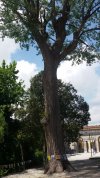 20210523_125930.jpg 20210523_125930.jpg