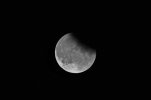 2019-07-17 eclissi _D712300 - 300+2x.JPG 2019-07-17 eclissi _D712300 - 300+2x.JPG