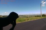 Panoramica.jpg