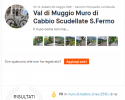 MuroDiCabbio.png