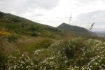 DSCN7324.jpg DSCN7324.jpg