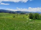 20210530_113502.jpg 20210530_113502.jpg
