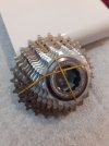 pacco pignoni campagnolo super record 11V nuovo