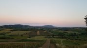 20210602_052919.jpg