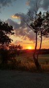20210602_053746.jpg
