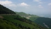20210602_134052.jpg