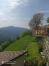 IMG_20210529_104845.jpg