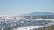 IMG_6532.JPG