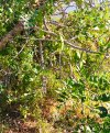 IMG_20210610_185324.jpg