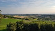 20210613_064644.jpg