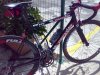 24062010040.jpg