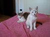 100_3024.jpg