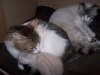100_3617.jpg