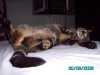 foto mamma2 076.jpg