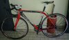 wilier 101.jpg