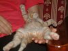 MiciMiao (81).jpg