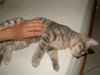 MiciMiao (226).jpg