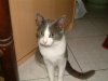 Mici (217).jpg