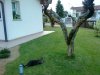 DSC00081.jpg