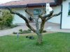 DSC00082.jpg