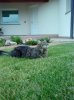 DSC00083.jpg