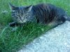 DSC00099.jpg