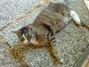 DSC00101.jpg