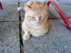 DSC00100.jpg