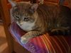 DSC00102.jpg