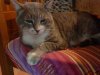 DSC00103.jpg