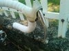 2010-07-12 14.24.48.jpg