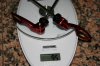 foto cerchi t1000spadahub 017pic.JPG