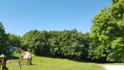 20210615_103811.jpg