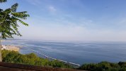 20210619_073505.jpg
