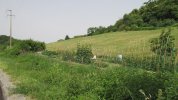 IMG_6636.JPG