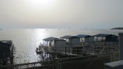 IMG_6653.JPG